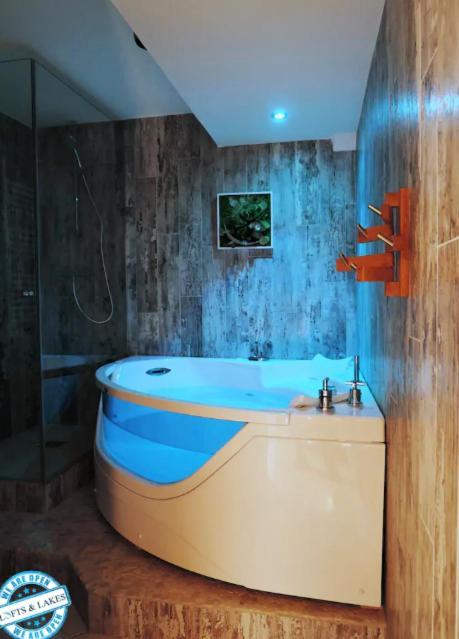 Le Cocon - Lofts & Lakes Certified 4-Stars Annecy Exterior foto